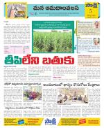 Srikakulam Constituencies