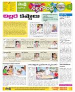 Nalgonda Constituencies