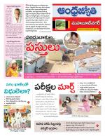 Mahabubnagar District