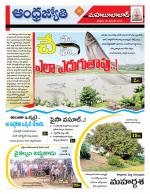 Mahabubabad District