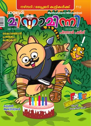 Minnaminni-2016 December 14