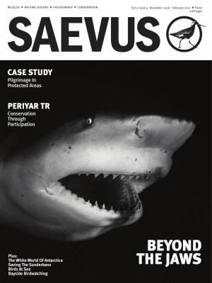 SAEVUS DEC16-FEB17