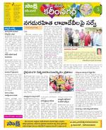 Karimnagar Constituencies