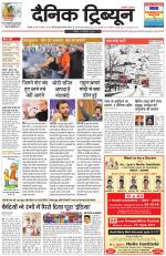 Dainik Tribune (Rohtak Edition)