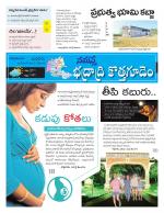 Bhadradri Kothagudem