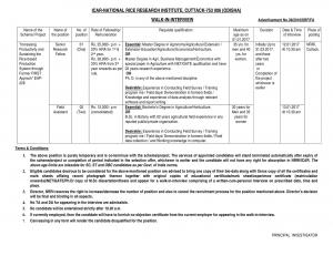 ICAR-NRRI Recruitment 2016 for 03 Senior Research Fellow and Field Assistant Posts