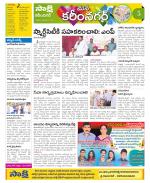 Karimnagar Constituencies