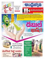 Mahabubabad District