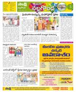 Nalgonda Constituencies