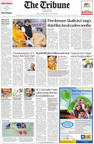 The Tribune