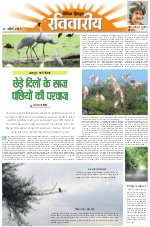 Dainik Tribune (Lehrein)