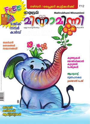 Minnaminni-2017 February 8