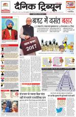 Dainik Tribune (Rohtak Edition)