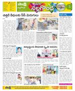 Nalgonda Constituencies