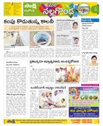 Nalgonda Constituencies