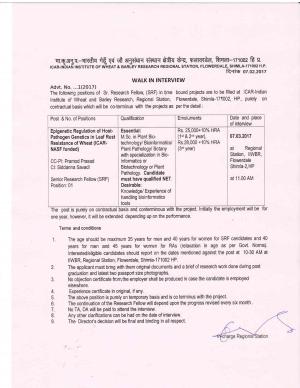 Indian Institute of Wheat Barley Recruitment 2017 for SRF Post