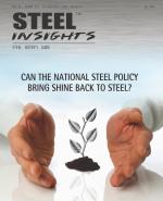 Steel Insights