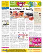 Nizamabad Constituencies