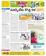 Adilabad Constituencies