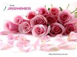  Fresh Jasmines