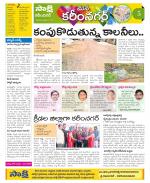 Karimnagar Constituencies