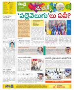 Medak Constituencies