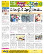 Adilabad Constituencies