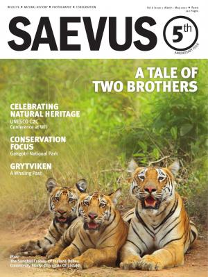 SAEVUS MARCH-MAY 2017