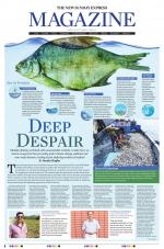 The New Sunday Express Magazine