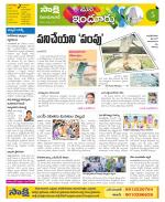 Nizamabad Constituencies