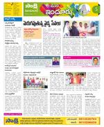 Nizamabad Constituencies