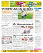 Nalgonda Constituencies