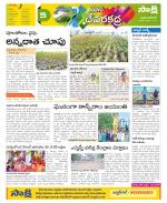 Mahabubnagar Constituencies