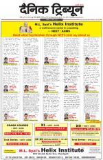 Dainik Tribune (Rohtak Edition)