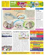 Nalgonda Constituencies