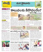 Krishna Constituencies