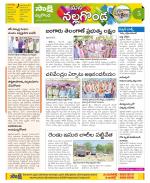 Nalgonda Constituencies