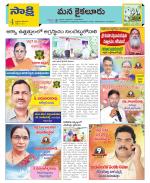 Krishna Constituencies