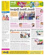 Karimnagar Constituencies