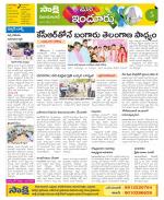 Nizamabad Constituencies