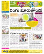 Karimnagar Constituencies