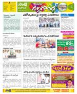 Nalgonda Constituencies