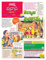 Bhadradri Kothagudem