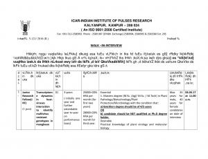 ICAR IIPR Recruitment 2017 for 9 Junior Research Fellow and Other Posts