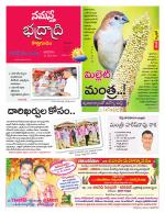 Bhadradri Kothagudem