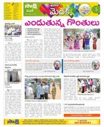 Medak Constituencies