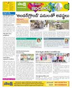 Nizamabad Constituencies