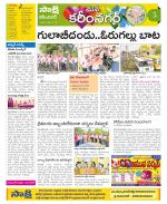 Karimnagar Constituencies