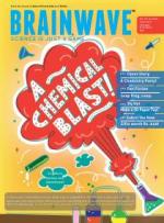 Brainwave Magazine