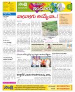 Nizamabad Constituencies